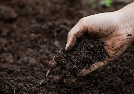 soil testing near me