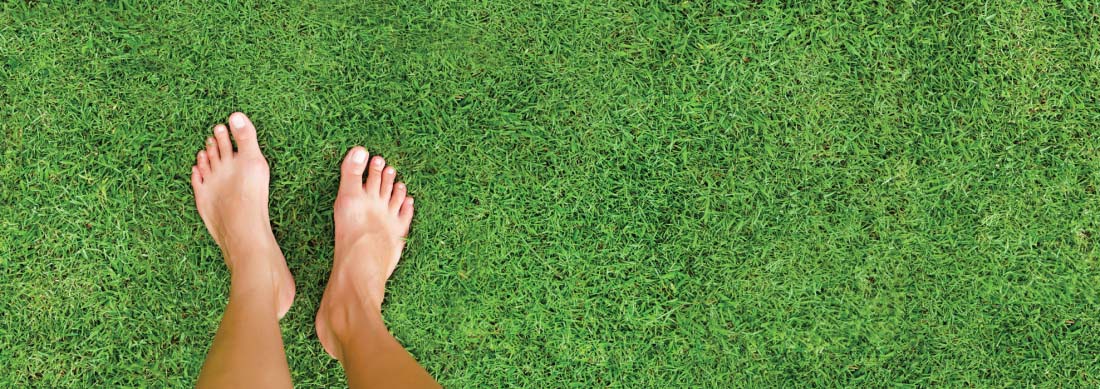 571 3 Essential Tips For Prepparing Your Lawn For Spring